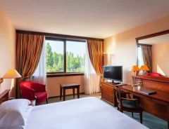 Hotel Hilton Strasbourg image