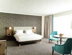 Hotel Hilton Paris Charles De Gaulle Airport image