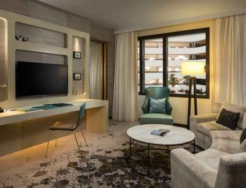 Hotel Hilton Amsterdam Airport Schiphol image
