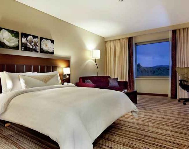 Hilton Garden Inn Mardin