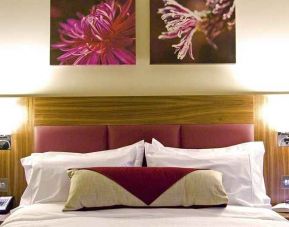 comfortable king bedroom at Hilton Garden Inn Konya, Turkey.