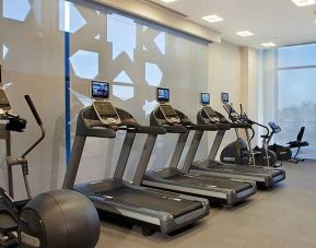 well equipped fitness center with treadmills, step machines, and weights at Hilton Garden Inn Konya, Turkey.