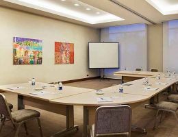 Hilton Garden Inn Konya, Turkey, Konya