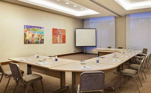Hotel Hilton Garden Inn Konya, Turkey image