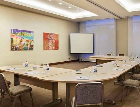 Hotel Hilton Garden Inn Konya, Turkey image