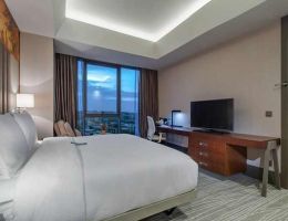 Hilton Garden Inn Istanbul Ataturk Airport, Istanbul