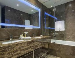 Hilton Garden Inn Istanbul Ataturk Airport, Istanbul