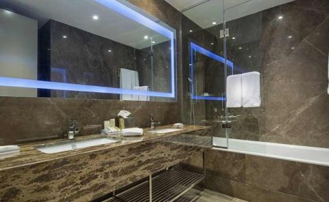 Hotel Hilton Garden Inn Istanbul Ataturk Airport image