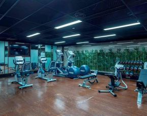 well equipped fitness center at Hilton Garden Inn Istanbul Ataturk Airport.