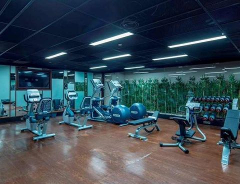 Hotel Hilton Garden Inn Istanbul Ataturk Airport image