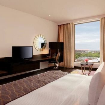 Hotel Hilton Jaipur image