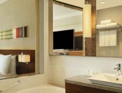 Hotel Hilton Chennai image
