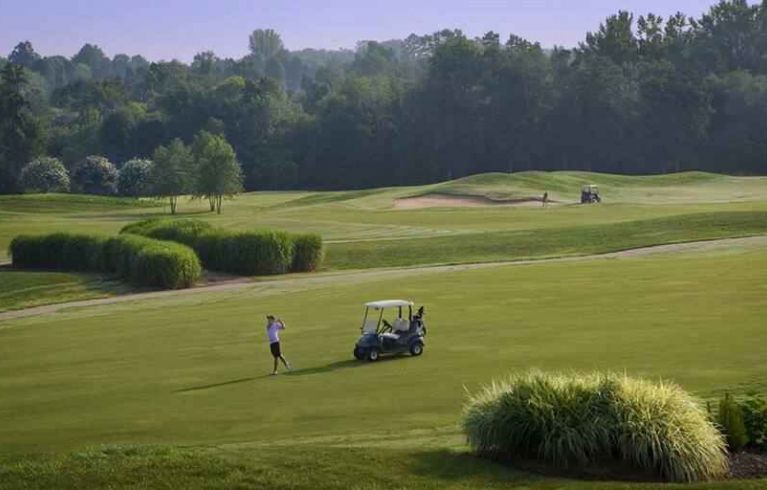 Embassy Suites By Hilton Charlotte-Concord-Golf Resort & Spa, Charlotte