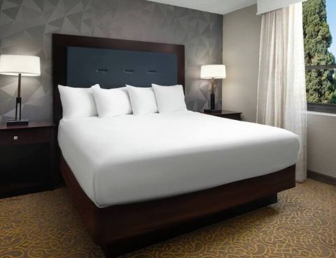 Hotel Embassy Suites Tucson East image