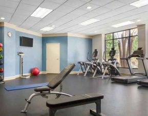 Fitness center with treadmills at the Doubletree by Hilton Houston Medical Center Hotel & Suites.