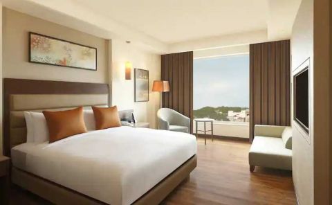 Hotel DoubleTree By Hilton Agra image