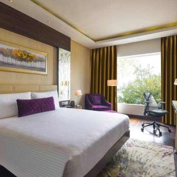 Hotel DoubleTree By Hilton Gurugram Baani Square image