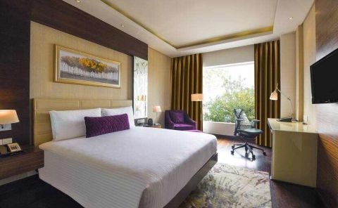 Hotel DoubleTree By Hilton Gurugram Baani Square image