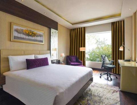 Hotel DoubleTree By Hilton Gurugram Baani Square image