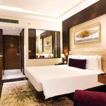 Hotel DoubleTree By Hilton Gurugram Baani Square image