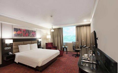 Hotel Hilton Garden Inn New Delhi/Saket image