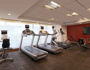 Fitness center at the Hilton Garden Inn New Delhi/Saket.
