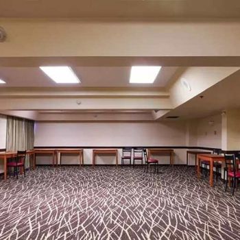 Hotel Red Roof PLUS+ & Suites Houston - IAH Airport SW image