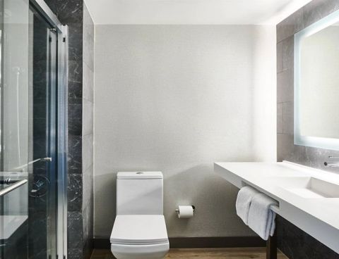 Hotel AC Hotel By Marriott Pleasanton image