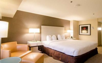 Comfortable king bedroom at Hilton Los Angeles Airport.