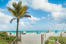 Hotel Hyatt Centric Miami South Beach image