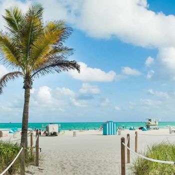 Hotel Hyatt Centric Miami South Beach image