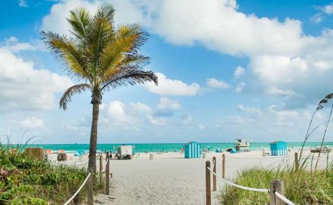 Hotel Hyatt Centric Miami South Beach image