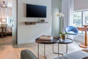 Hotel Hyatt Centric Miami South Beach image