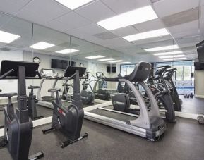 Well equipped fitness center at Enclave Suites by Sky Hotels & Resorts.