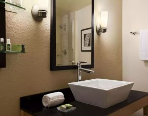 Private guest bathroom with shower at Cambria Hotel Miami Airport - Blue Lagoon.