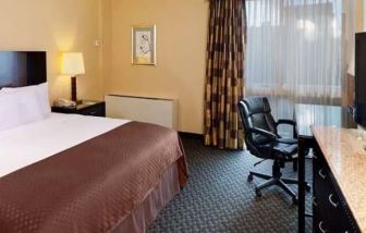 King bedroom with TV and business desk at Radisson Hotel JFK Airport.