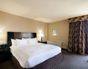 Spacious king room with natural light at Radisson Hotel JFK Airport.