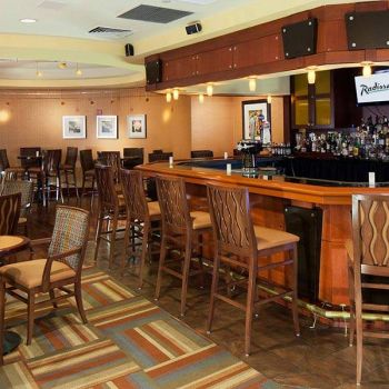 Hotel Radisson Hotel JFK Airport image
