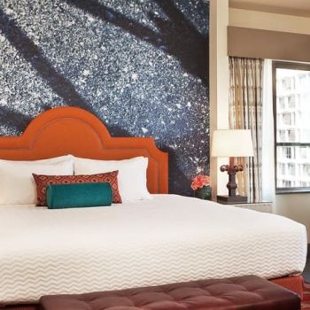 Hotel Hotel Indigo New Orleans Garden District image