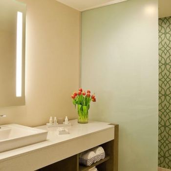 Hotel Hotel Indigo New Orleans Garden District image