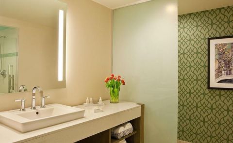 Hotel Hotel Indigo New Orleans Garden District image