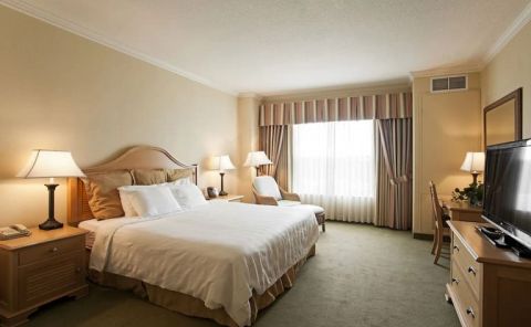 Hotel Monumental Hotel Orlando image
