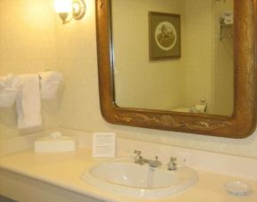 Private guest bathroom at Monumental Hotel Orlando.