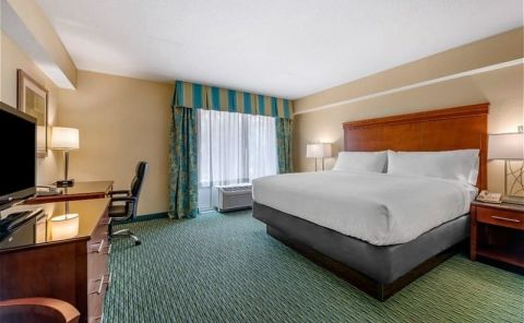 Hotel Holiday Inn Resort Lake Buena Vista image