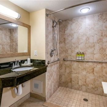 Hotel Holiday Inn Resort Lake Buena Vista image