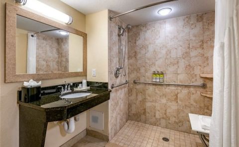 Hotel Holiday Inn Resort Lake Buena Vista image