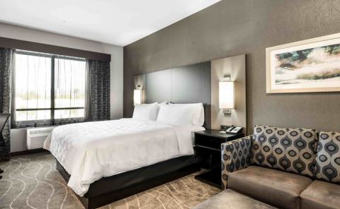 Hotel Holiday Inn & Suites Silicon Valley - Milpitas image
