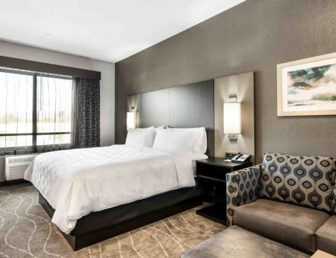 Hotel Holiday Inn & Suites Silicon Valley - Milpitas image