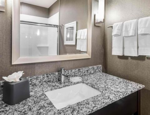 Hotel Holiday Inn & Suites Silicon Valley - Milpitas image