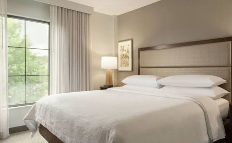 Hotel Embassy Suites Alpharetta image